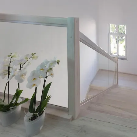 بيت ضيافة Rosa - 200m Od Morza مينززدرويه