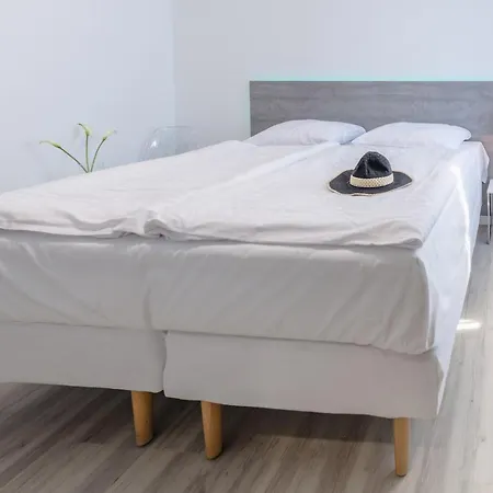 Rosa - 200m Od Morza 米兹多洛杰